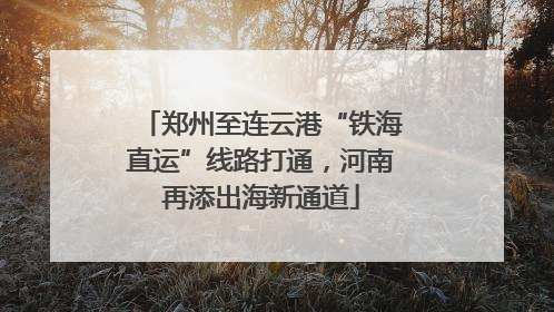 郑州至连云港“铁海直运”线路打通，河南再添出海新通道