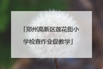 郑州高新区莲花街小学检查作业促教学