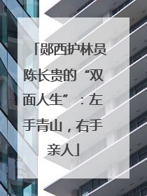 郧西护林员陈长贵的“双面人生”：左手青山，右手亲人