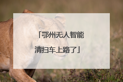 鄂州无人智能清扫车上路了