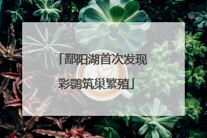 鄱阳湖首次发现彩鹮筑巢繁殖