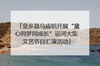 金乡县马庙镇开展“童心同梦同成长”运河大集文艺节目汇演活动