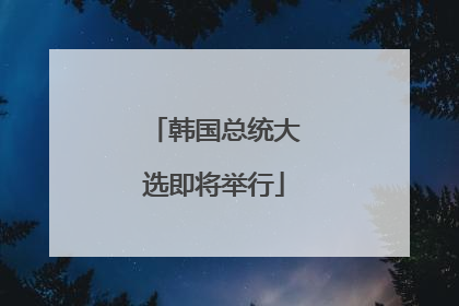 韩国总统大选即将举行