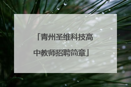 青州圣维科技高中教师招聘简章