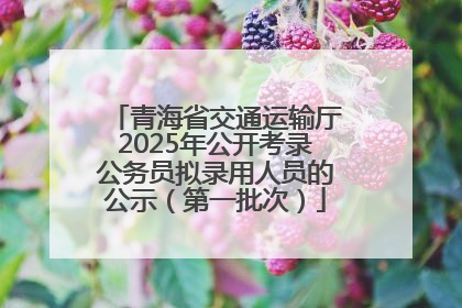 青海省交通运输厅2025年公开考录公务员拟录用人员的公示（第一批次）