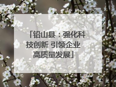 铅山县：强化科技创新 引领企业高质量发展