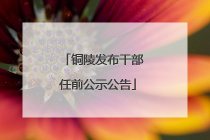 铜陵发布干部任前公示公告