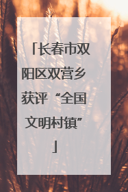长春市双阳区双营乡获评“全国文明村镇”