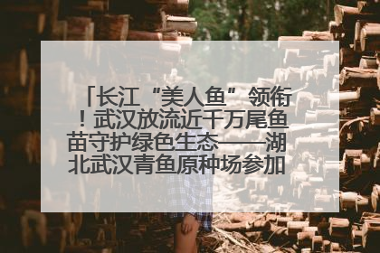 长江“美人鱼”领衔！武汉放流近千万尾鱼苗守护绿色生态——湖北武汉青鱼原种场参加2025年“全国放鱼日”增殖放流活动