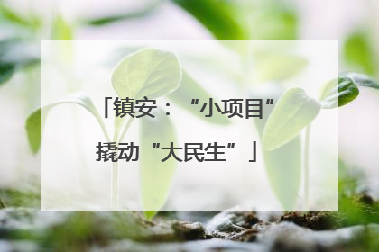 镇安：“小项目”撬动“大民生”