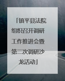 镇平县法院组织召开调研工作推进会暨第二次调研沙龙活动