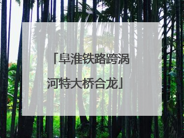 阜淮铁路跨涡河特大桥合龙