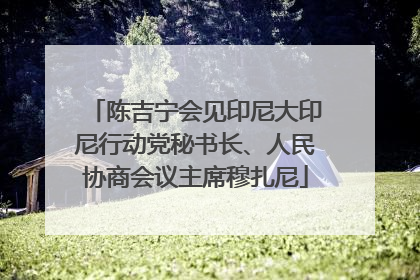 陈吉宁会见印尼大印尼行动党秘书长、人民协商会议主席穆扎尼