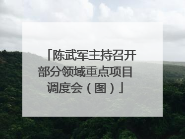 陈武军主持召开部分领域重点项目调度会（图）
