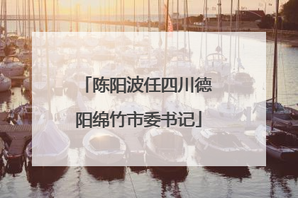 陈阳波任四川德阳绵竹市委书记