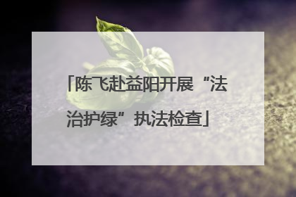 陈飞赴益阳开展“法治护绿”执法检查