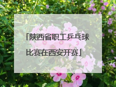 陕西省职工乒乓球比赛在西安开赛