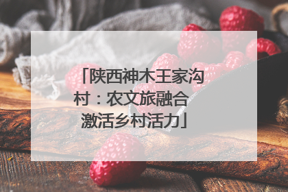 陕西神木王家沟村：农文旅融合 激活乡村活力