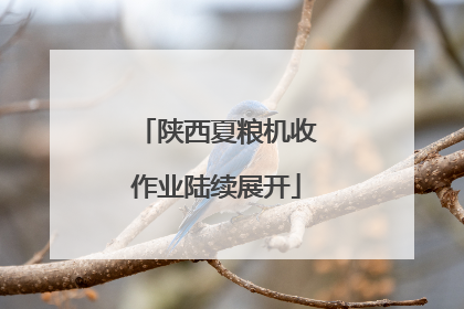 陕西夏粮机收作业陆续展开