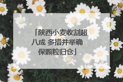 陕西小麦收割超八成 多措并举确保颗粒归仓