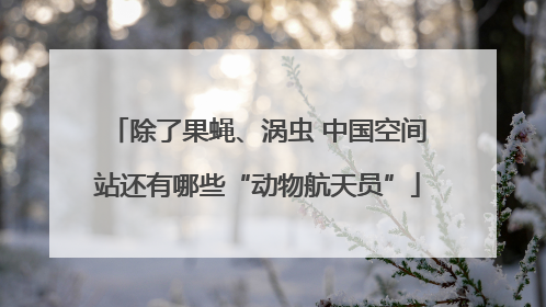 除了果蝇、涡虫 中国空间站还有哪些“动物航天员”