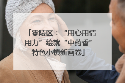 零陵区：“用心用情用力”绘就“中药香”特色小镇新画卷