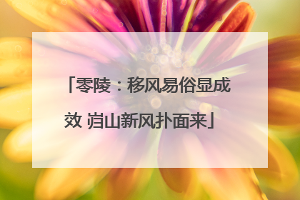 零陵：移风易俗显成效 岿山新风扑面来
