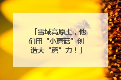 雪域高原上，他们用“小蘑菇”创造大“蘑”力！