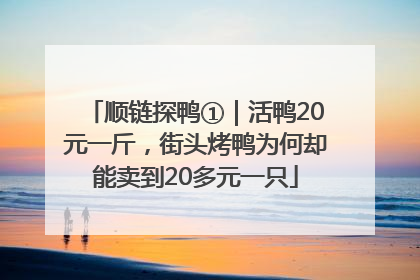 顺链探鸭①｜活鸭20元一斤，街头烤鸭为何却能卖到20多元一只