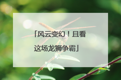 风云变幻！且看这场龙狮争霸