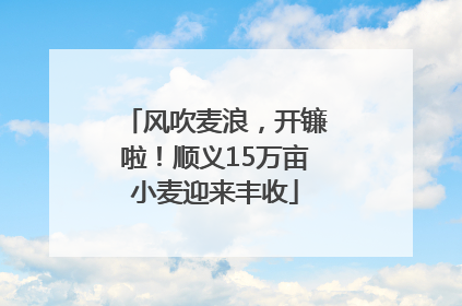 风吹麦浪，开镰啦！顺义15万亩小麦迎来丰收