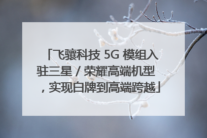 飞骧科技 5G 模组入驻三星 / 荣耀高端机型，实现白牌到高端跨越