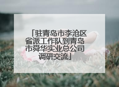 驻青岛市李沧区省派工作队到青岛市舜华实业总公司调研交流