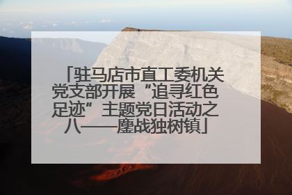 驻马店市直工委机关党支部开展“追寻红色足迹”主题党日活动之八——鏖战独树镇
