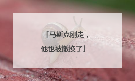 马斯克刚走，他也被撤换了