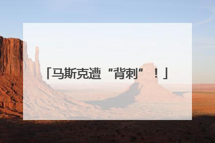 马斯克遭“背刺”！
