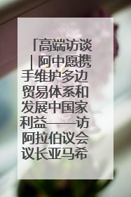 高端访谈｜阿中愿携手维护多边贸易体系和发展中国家利益——访阿拉伯议会议长亚马希