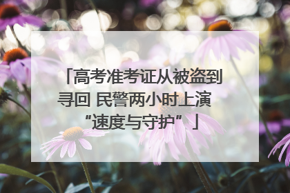 高考准考证从被盗到寻回 民警两小时上演 “速度与守护”