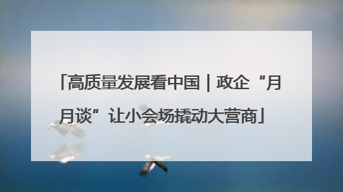 高质量发展看中国｜政企“月月谈”让小会场撬动大营商