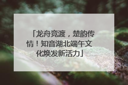 龙舟竞渡，楚韵传情！知音湖北端午文化焕发新活力