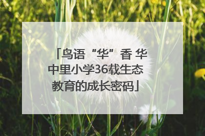 鸟语“华”香 华中里小学36载生态教育的成长密码