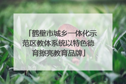 鹤壁市城乡一体化示范区教体系统以特色德育擦亮教育品牌