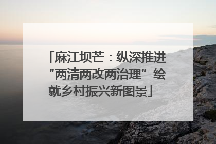 麻江坝芒：纵深推进“两清两改两治理”绘就乡村振兴新图景