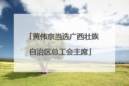 黄伟京当选广西壮族自治区总工会主席