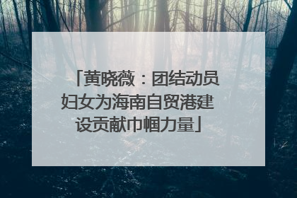 黄晓薇：团结动员妇女为海南自贸港建设贡献巾帼力量