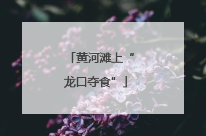 黄河滩上“龙口夺食”