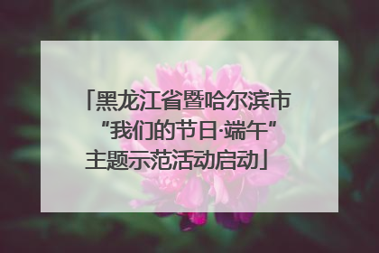 黑龙江省暨哈尔滨市“我们的节日·端午”主题示范活动启动