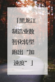 黑龙江制造业数智化转型跑出“加速度”