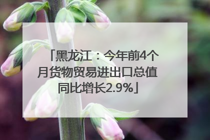 黑龙江：今年前4个月货物贸易进出口总值同比增长2.9%