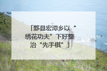 黟县宏潭乡以“绣花功夫”下好整治“先手棋”